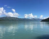 新疆启动塔里木河第25次第二阶段生态输水