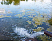 “墨水”变清水 南安今年已投超10亿元整治城乡污水